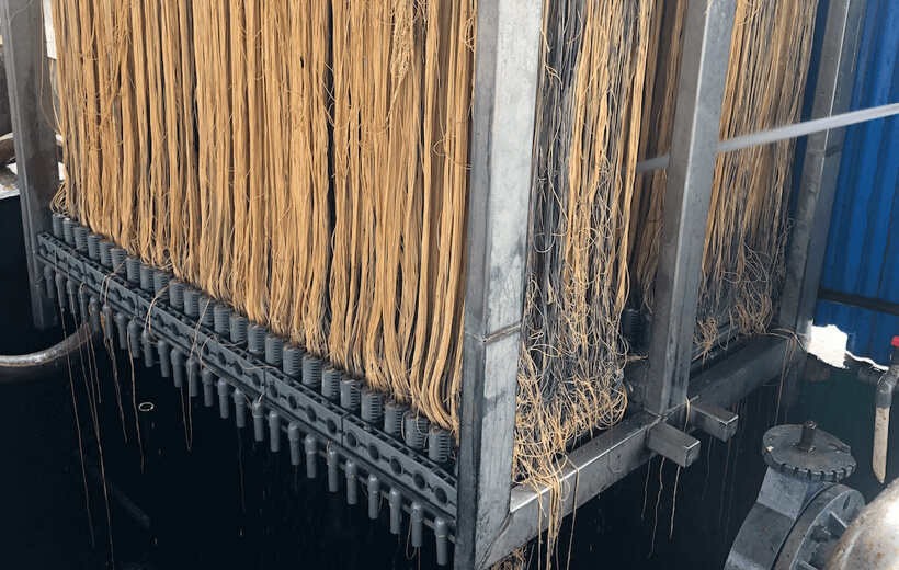 �л�����Ĥ��˿